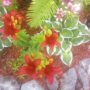 Meet your Posher, Marilyn